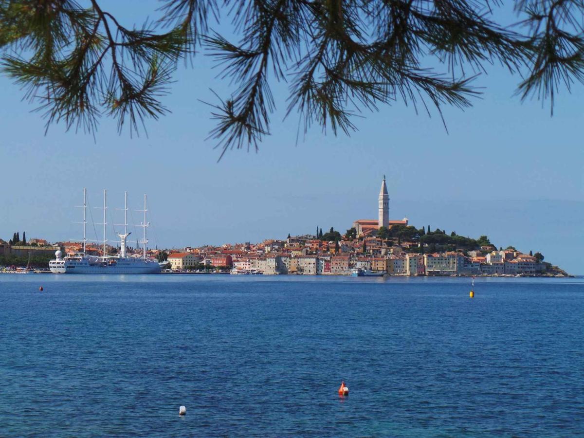 Apartment In Rovinj/Istrien 11735 Dış mekan fotoğraf